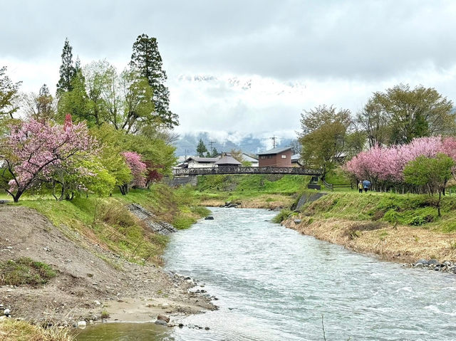 How to Get from Tokyo to Hakuba