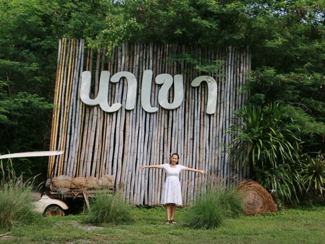 นาเขา คาเฟ่ เขาใหญ่