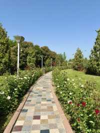 Spring Blooms at Flag Pole Park in Dushanbe