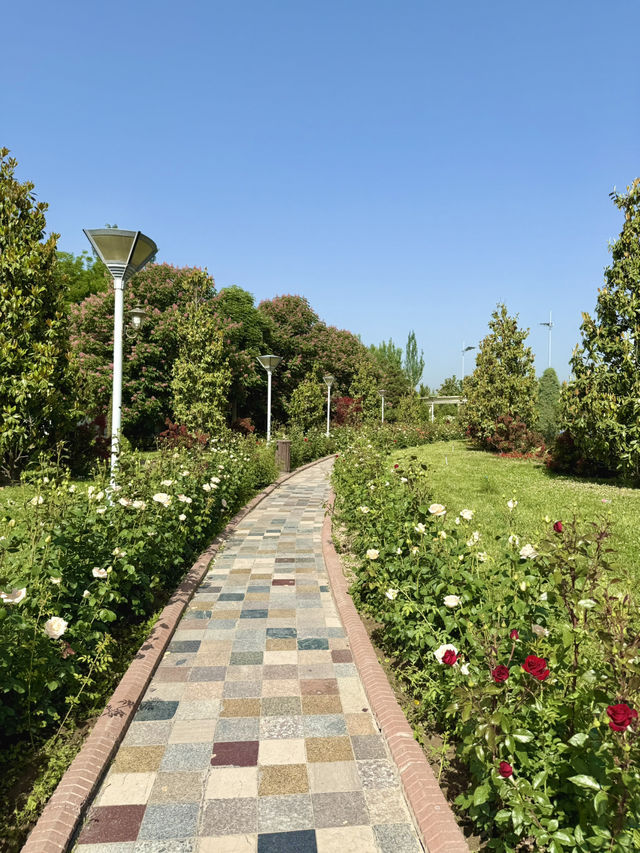 Spring Blooms at Flag Pole Park in Dushanbe