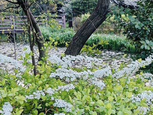 Geolmae Ecological Park in Jeju