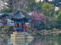 Heillongtan, Black Dragon Pool