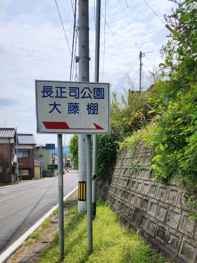 【山口グルメ】蛍街道西ノ市