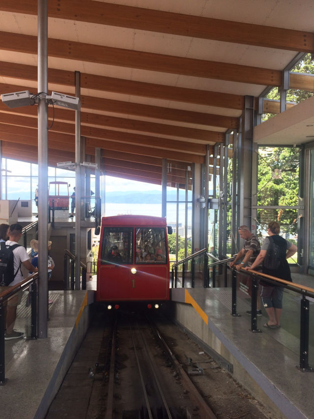 走！一起去威靈頓植物園當一日森林系旅人