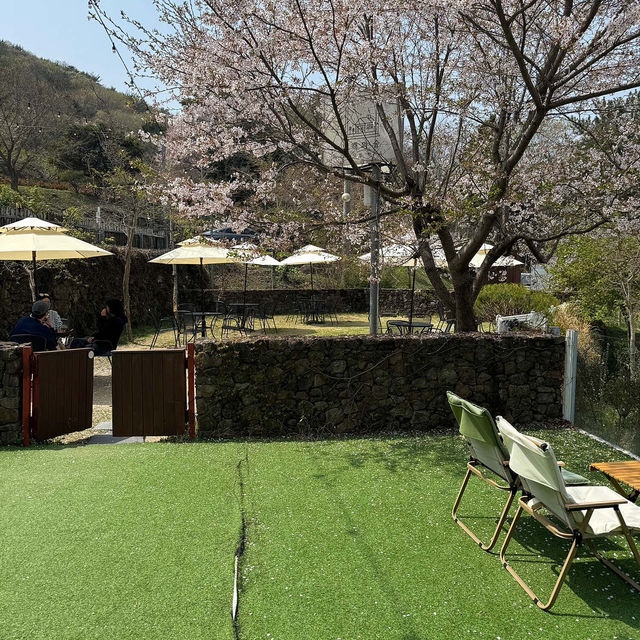 🩷🏞️남해카페추천 싱그러움 가득 남해 독일마을 카페 남해의숲