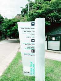 Children’s Playground: A Family-Friendly Haven