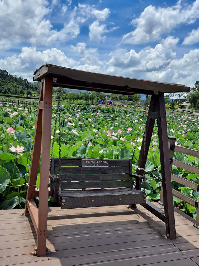 When in Haman Lotus Theme Park