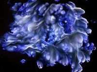 Kawah Ijen ควรไป แต่ครั้งเดียวเท่านั้น