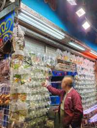 【香港】金魚街