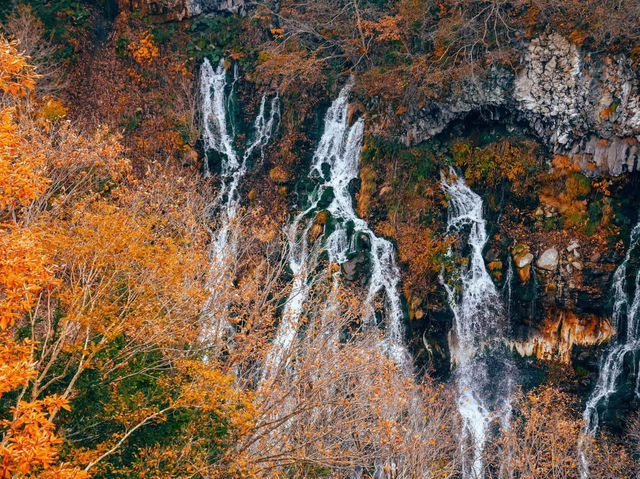 Hokkaido