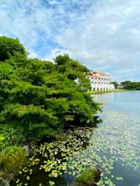 ECOLAND IN JEJU ISLAND.
