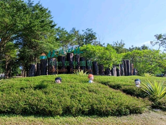 #林後四林平地森林園區-屏東縣潮州鎮
