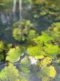 คลองหรูด จ.กระบี่