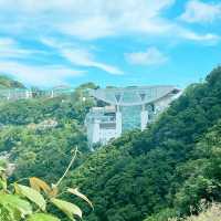 山頂打卡