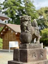 Exploring Ōzu – A Castle View & a Shrine Escape
