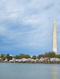 Reflections of Freedom: Thomas Jefferson Memorial