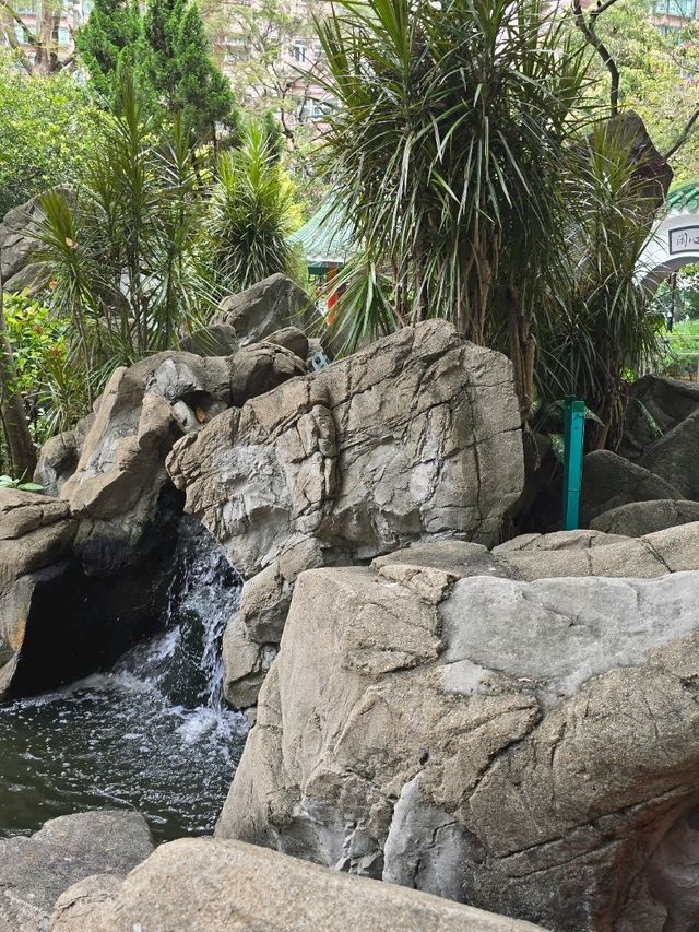 Hollywood Road Park 🏞️