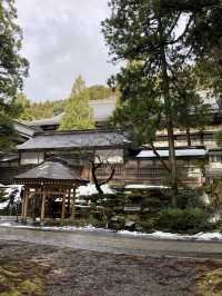 Winter Wonders in Fukui – Temples, Dinosaurs & Peaceful Shrines 