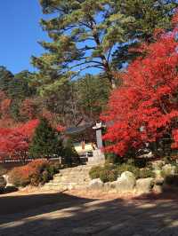 설악산과 강원도 바다