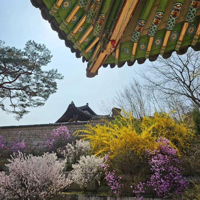 Pretty blooms at Changgyeonggung Palace