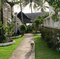 Simple Island Life at Carabao, Romblon