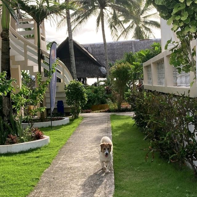 Simple Island Life at Carabao, Romblon