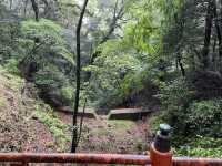 人生で1度は行きたい！1368段の階段の先に広がるパワースポット⛩🌿
