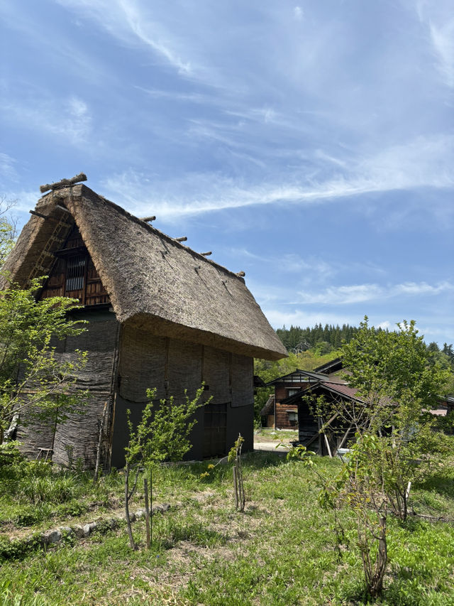【岐阜県・白川村】世界遺産白川郷を巡ろう！