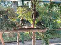 A Day at Caversham Wildlife Park