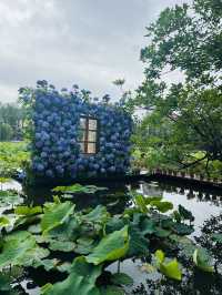 🌸 A Bloom-Filled Getaway to China’s Eternal Spring City🌸