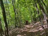 【静けさと絶景に包まれる、網掛山トレッキング⛰🌿】