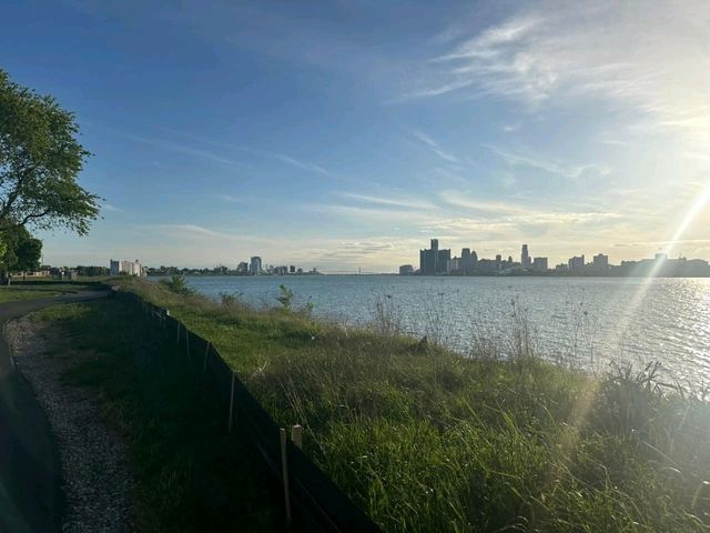 love the vibes of detriot 