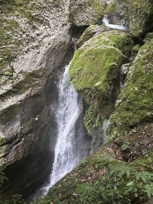 A Quiet Afternoon in Qingcheng’s Back Mountain