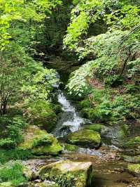 Nature’s Hidden Chill Spot