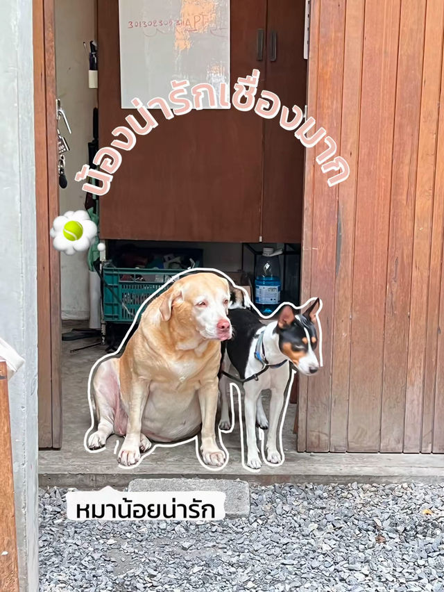 วาดรูปชิลล์ๆที่ “ใต้บ้าน”