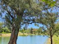 恍如仙境的台東森林公園琵琶湖