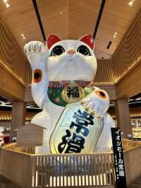 名古屋常滑招財貓