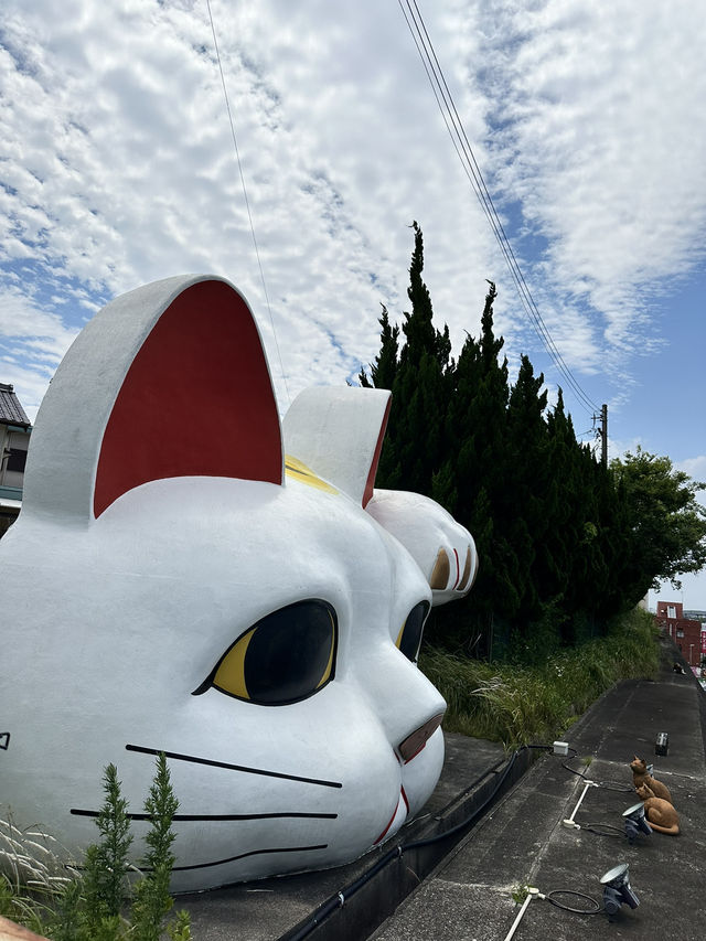 名古屋常滑招財貓