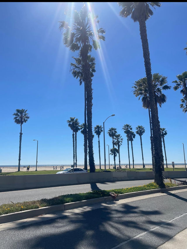 🌊【カリフォルニア・サンタモニカ】海風と自由を感じる、憧れのビーチタウンで過ごす時間