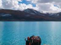 YAMDROK LAKE