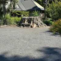 Christchurch Botanic Gardens