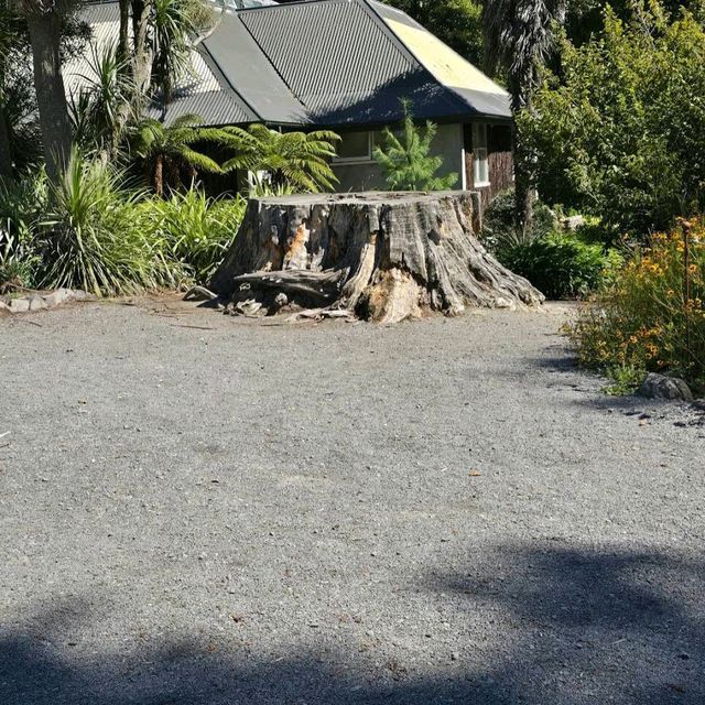 Christchurch Botanic Gardens