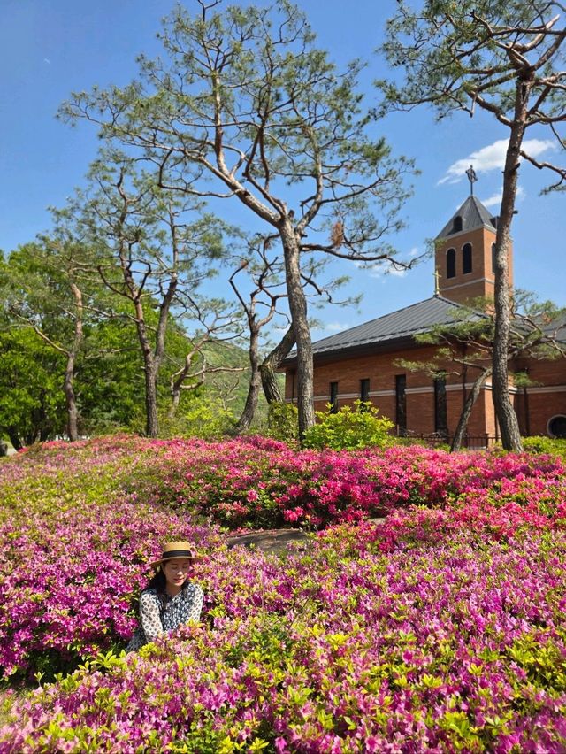 초록 싱그러움 가득한 괴산 연풍성지💜