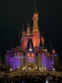 🎢【千葉・舞浜 東京ディズニーランド攻略】初心者もリピーターも！一日を最大限に楽しむヒント