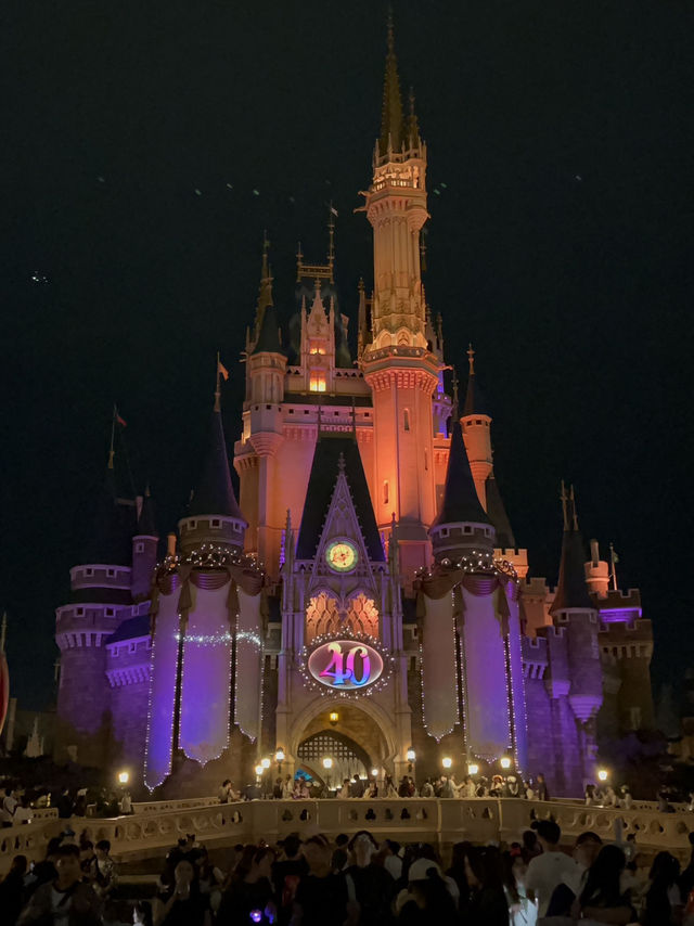 🎢【千葉・舞浜 東京ディズニーランド攻略】初心者もリピーターも！一日を最大限に楽しむヒント