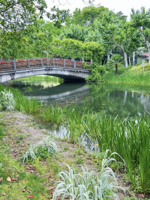 A Community Sports & Nature Hub – Minhang Sports Park, Shanghai