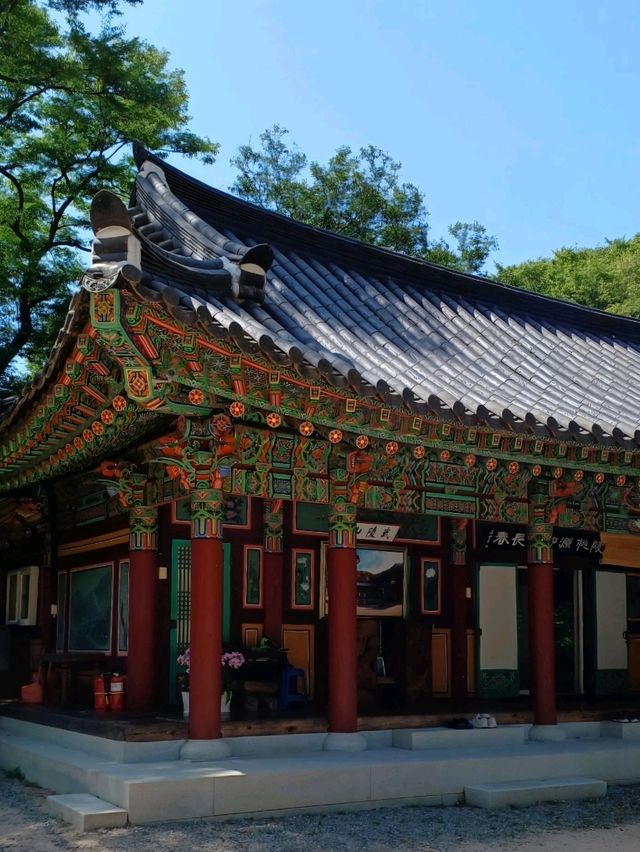 숲속 속삭임💚 장춘사