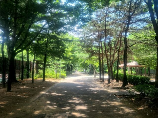 서울숲공원 (하늘 그리고 수국길)