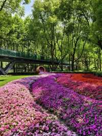 Xujiahui Park – Miniature Shanghai Wrapped in Green
