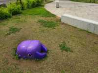 해외여행 일본 삿포로 여행 중 들린 Midorigaoka Park